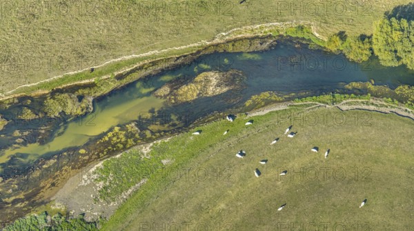 Aerial view, river Lippe, Lippe floodplains, nature reserve, Lippborg, Lippetal, district Soest, North Rhine-Westphalia, Germany, DE, Europe, district Soest-Buch, district Soest-Buch, aerial view, aerial photography, aerial photography, nature reserve, nature conservation, overview, environmental protection, bird's eye view, meadows and fields, meadows and pastures, birds-eyes view, national nature reserve, overview