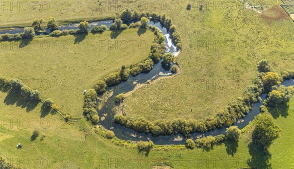 Aerial view, river Lippe, Lippe floodplains, nature reserve, Lippborg, Lippetal, district Soest, North Rhine-Westphalia, Germany, DE, Europe, district Soest-Buch, district Soest-Buch, aerial view, aerial photography, aerial photography, nature reserve, nature conservation, overview, environmental protection, bird's eye view, meadows and fields, meadows and pastures, birds-eyes view, grazing cows, national nature reserve, overview