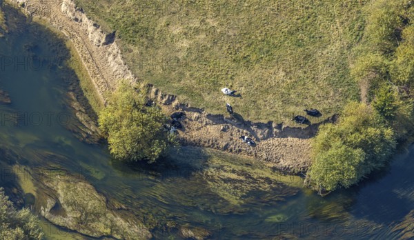 Aerial view, river Lippe, Lippe floodplains, nature reserve, Lippborg, Lippetal, district Soest, North Rhine-Westphalia, Germany, DE, Europe, district Soest-Buch, district Soest-Buch, aerial view, aerial photography, aerial photography, nature reserve, nature conservation, overview, environmental protection, bird's eye view, meadows and fields, meadows and pastures, birds-eyes view, grazing cows, national nature reserve, overview