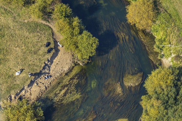 Aerial view, river Lippe, Lippe floodplains, nature reserve, Lippborg, Lippetal, district Soest, North Rhine-Westphalia, Germany, DE, Europe, district Soest-Buch, district Soest-Buch, aerial view, aerial photography, aerial photography, nature reserve, nature conservation, overview, environmental protection, bird's eye view, meadows and fields, meadows and pastures, birds-eyes view, grazing cows, national nature reserve, overview