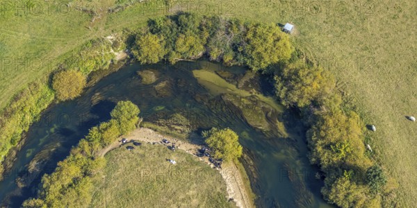 Aerial view, river Lippe, Lippe floodplains, nature reserve, Lippborg, Lippetal, district Soest, North Rhine-Westphalia, Germany, DE, Europe, district Soest-Buch, district Soest-Buch, aerial view, aerial photography, aerial photography, nature reserve, nature conservation, overview, environmental protection, bird's eye view, meadows and fields, meadows and pastures, birds-eyes view, grazing cows, national nature reserve, overview