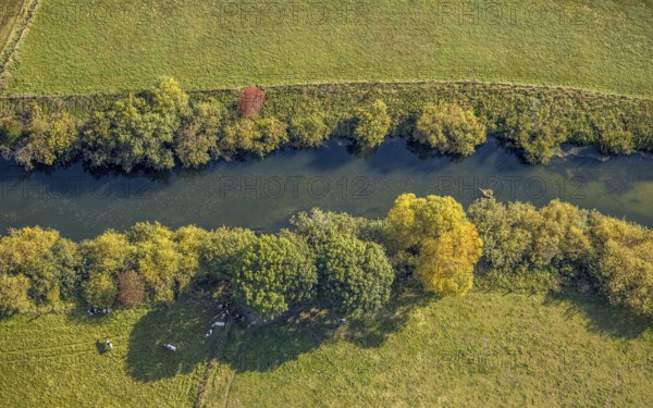 Aerial view, Lippe floodplains, river Lippe, Herzfeld, Lippetal, district Soest, North Rhine-Westphalia, Germany, DE, Europe, shapes and colours, district Soest book, district Soest book, aerial view, aerial photography, aerial photography, overview, riparian area, riparian forestation, riparian vegetation, bird's-eye view, meadows and fields, birds-eyes view, grazing cows, overview