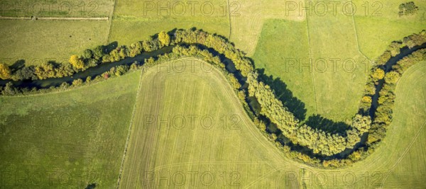 Aerial view, Lippe floodplains, river Lippe, Herzfeld, Lippe valley, Lippe meanders, Soest district, North Rhine-Westphalia, Germany, DE, Europe, shapes and colours, Kreis-Soest-Buch, KreisSoestBuch, aerial view, aerial photography, aerial photography, serpentine shape, overview, riparian area, riparian forestation, riparian vegetation, bird's-eye view, meadows and fields, birds-eyes view, grazing cows, overview