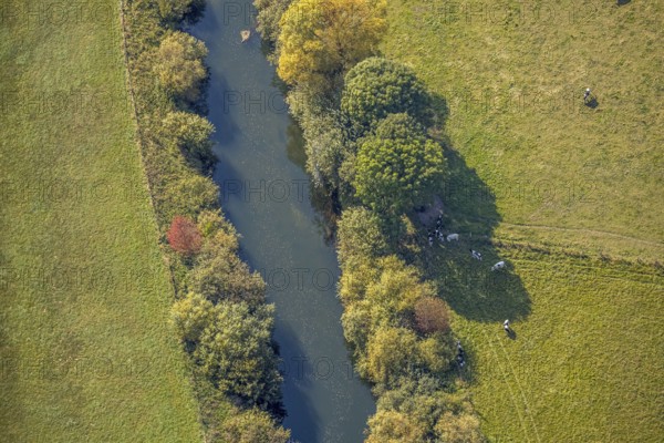 Aerial view, Lippe floodplains, river Lippe, Herzfeld, Lippetal, district Soest, North Rhine-Westphalia, Germany, DE, Europe, shapes and colours, district Soest book, district Soest book, aerial view, aerial photography, aerial photography, overview, riparian area, riparian forestation, riparian vegetation, bird's-eye view, meadows and fields, birds-eyes view, grazing cows, overview