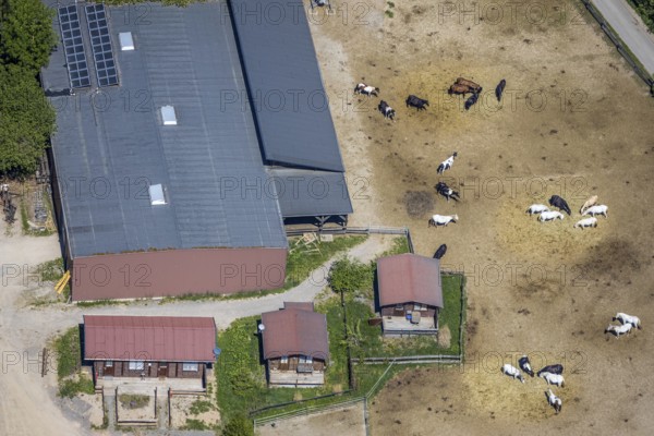 Aerial view, Elspe-Festival-Gelände, Zur Naturbühne, Lennestadt, Sauerland, North Rhine-Westphalia, Germany, DE, Europe, event location, Karl-May Festival, culture, art, aerial photography, aerial photography, aerial photography, horses, overview, events, venue, event location, bird's eye view, birds-eyes view, overview