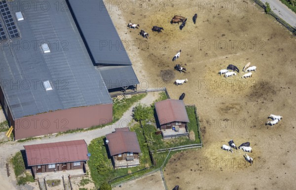 Aerial view, Elspe-Festival-Gelände, Zur Naturbühne, Lennestadt, Sauerland, North Rhine-Westphalia, Germany, DE, Europe, event location, Karl-May Festival, culture, art, aerial photography, aerial photography, aerial photography, horses, overview, events, venue, event location, bird's eye view, birds-eyes view, overview