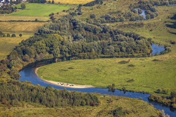 Aerial photograph, Lippe floodplain nature reserve, River Lippe, Benninghausen, Lippstadt, Soest district, North Rhine-Westphalia, Germany, Benninghauser Heide, DE, Europe, Göttinger Straße, Soest-Buch district, Soest-Buch district, cultural landscape, aerial photograph, aerial photography, aerial photography, NSG Lippeaue, nature conservation, nature reserve, sandbank, serpentine shape, overview, riparian forestation, bird's eye view, Wadersloh, forest area, meadows and fields, birds-eyes view, overview, resting cows