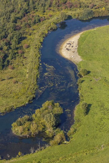 Aerial view, nature reserve Lippeaue, river Lippe, Benninghausen, Lippstadt, district Soest, North Rhine-Westphalia, Germany, Benninghauser Heide, DE, Europe, Göttinger Straße, district Soest-Buch, district Soest-Buch, cultural landscape, aerial view, aerial photography, aerial photography, NSG Lippeaue, nature conservation, nature reserve, sandbank, overview, riparian forestation, bird's-eye view, overview, resting cows