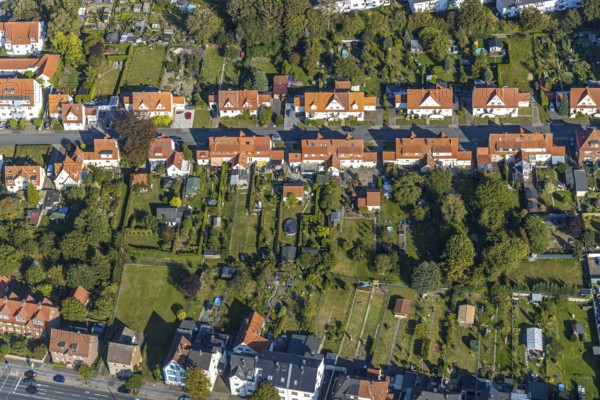 Aerial view, Ebertstraße housing estate, Lippstadt, Soest district, North Rhine-Westphalia, Germany, DE, single-family homes, Europe, gardens, property tax, green trees, real estate, Soest-Buch district, Soest-Buch district, aerial photography, aerial photography, aerial view, terraced houses, overview, bird's-eye view, housing estate, living and living, residential area, residential buildings, quality of living, residential neighbourhood, housing estate, birds-eyes view, overview, red roofs