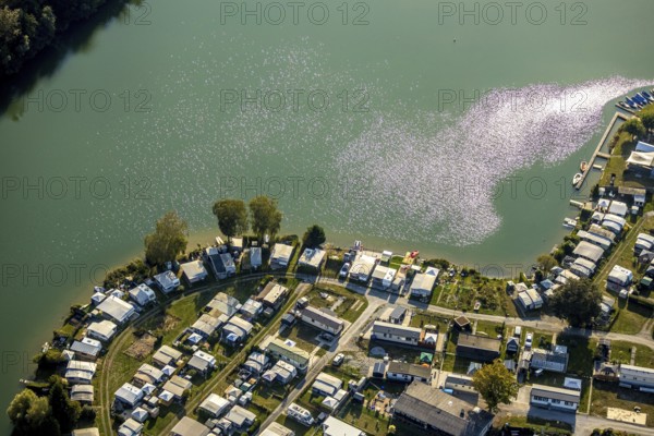 Aerial view, Camping Margaretensee, Lippstadt, Kreis Soest, North Rhine-Westphalia, Germany, camping, camping site, camping houses, camping mobile, camping site, DE, Europe, leisure, hobby, Kreis-Soest-Buch, KreisSoestBuch, aerial view, aerial photography, aerial photography, lake, overview, bird's-eye view, motorhome, caravan, birds-eyes view, overview