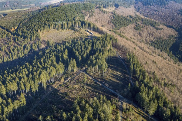 Aerial photo, forest dieback, deforestation, Fredeburg, Schmallenberg, Sauerland, North Rhine-Westphalia, Germany, DE, Europe, aerial photo, aerial photography, aerial photography, mixed forest, overview, bird's-eye view, forest, forest area, forest damage, birds-eyes view, overview