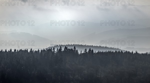 Aerial view, forest hilly landscape in fog, Rimberg, Fredeburg, Schmallenberg, Sauerland, North Rhine-Westphalia, Germany, DE, haze, Europe, distant view, aerial view, aerial photography, aerial photography, fog, overview, bird's-eye view, forest, forest area, birds-eyes view, overview