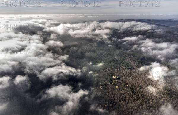 Aerial view, sea of clouds over forest area, Siedlinghausen, Winterberg, Sauerland, North Rhine-Westphalia, Germany, DE, Europe, distant view, shapes and colours, hilly landscape, aerial view, aerial photography, aerial photography, overview, bird's-eye view, forest, clouds, birds-eyes view, overview