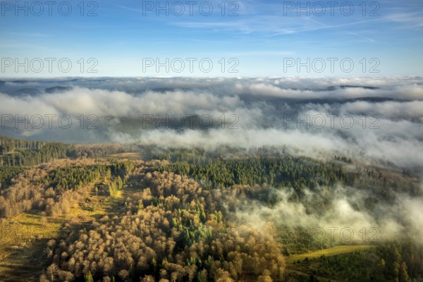 Aerial view, sea of clouds over forest area, Bödefeld, Schmallenberg, Sauerland, North Rhine-Westphalia, Germany, DE, Europe, distant view, shapes and colours, hilly landscape, aerial view, aerial photography, aerial photography, overview, bird's-eye view, forest, clouds, birds-eyes view, overview