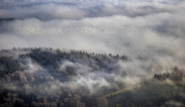 Aerial view, sea of clouds over forest area, Bödefeld, Schmallenberg, Sauerland, North Rhine-Westphalia, Germany, DE, Europe, shapes and colours, hilly landscape, aerial view, aerial photography, aerial photography, overview, bird's eye view, forest, clouds, birds-eyes view, overview