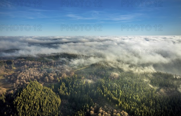 Aerial view, sea of clouds over forest area, Bödefeld, Schmallenberg, Sauerland, North Rhine-Westphalia, Germany, DE, Europe, distant view, shapes and colours, hilly landscape, aerial view, aerial photography, aerial photography, overview, bird's-eye view, forest, clouds, birds-eyes view, overview