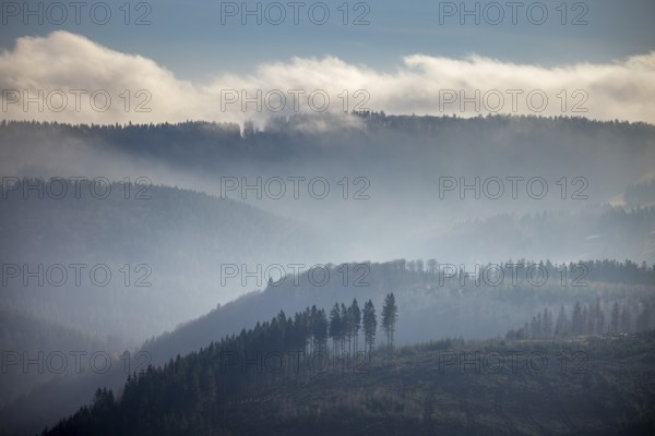 Aerial view, hilltop in fog, forest damage, Bödefeld, Schmallenberg, Sauerland, North Rhine-Westphalia, Germany, bark beetle, DE, Europe, shapes and colours, hilly landscape, aerial view, aerial photography, aerial photography, overview, bird's-eye view, forest, forest area, forest dieback, birds-eyes view, overview