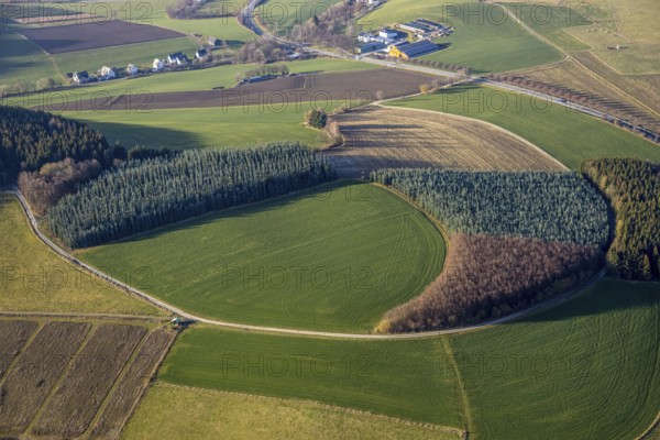 Aerial view, meadows and forest pattern near Bödefeld, Westernbödefeld, Schmallenberg, Sauerland, North Rhine-Westphalia, Germany, DE, Europe, shapes and colours, circular shape, aerial view, aerial photography, aerial photography, overview, bird's-eye view, overview, forest conservation, tree planting, YingYang pattern
