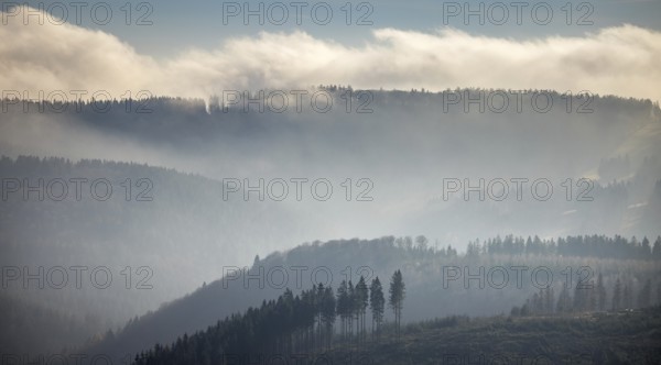Aerial view, hilltop in fog, forest damage, Bödefeld, Schmallenberg, Sauerland, North Rhine-Westphalia, Germany, bark beetle, DE, Europe, shapes and colours, hilly landscape, aerial view, aerial photography, aerial photography, overview, bird's-eye view, forest, forest area, forest dieback, birds-eyes view, overview