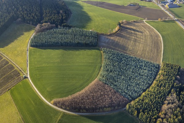 Aerial view, meadows and forest pattern near Bödefeld, Westernbödefeld, Schmallenberg, Sauerland, North Rhine-Westphalia, Germany, DE, Europe, shapes and colours, circular shape, aerial view, aerial photography, aerial photography, overview, bird's-eye view, overview, forest conservation, tree planting, YingYang pattern