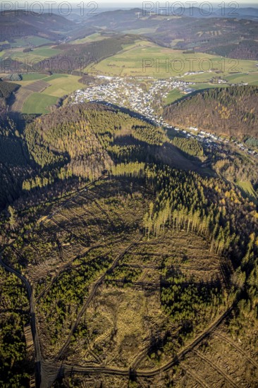 Aerial view, hilltop, forest damage, local view Bödefeld, Westernbödefeld, Schmallenberg, Sauerland, North Rhine-Westphalia, Germany, bark beetle, DE, Europe, Kehlenberg, aerial view, aerial photography, aerial photography, overview, bird's-eye view, forest, forest area, forest dieback, birds-eyes view, overview