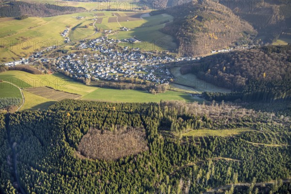 Aerial view, hilltop, forest damage, local view Bödefeld, Westernbödefeld, Schmallenberg, Sauerland, North Rhine-Westphalia, Germany, bark beetle, DE, Europe, aerial view, aerial photography, aerial photography, overview, bird's-eye view, forest, forest area, forest dieback, birds-eyes view, overview