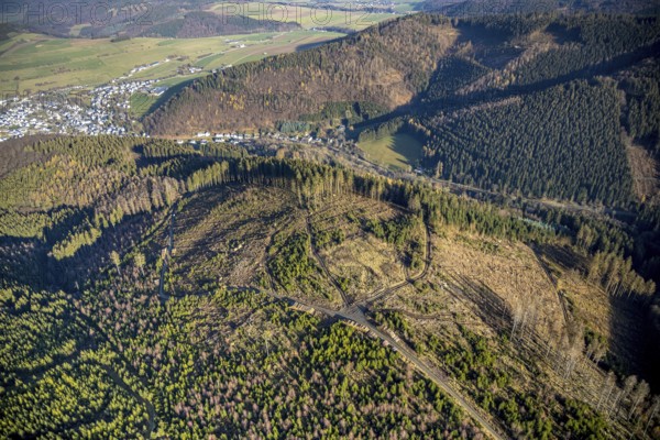 Aerial view, hilltop, forest damage, local view Bödefeld, Westernbödefeld, Schmallenberg, Sauerland, North Rhine-Westphalia, Germany, bark beetle, DE, Europe, Kehlenberg, aerial view, aerial photography, aerial photography, overview, bird's-eye view, forest, forest area, forest dieback, birds-eyes view, overview