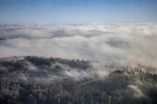 Aerial view, sea of clouds over forest area, Bödefeld, Schmallenberg, Sauerland, North Rhine-Westphalia, Germany, DE, Europe, shapes and colours, hilly landscape, aerial view, aerial photography, aerial photography, overview, bird's eye view, forest, clouds, birds-eyes view, overview