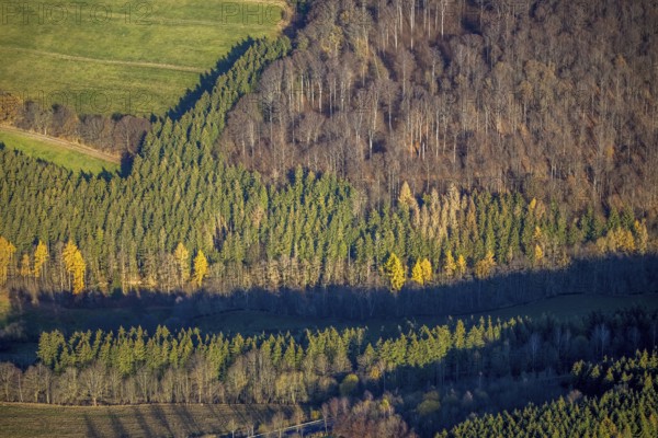 Aerial view, forest area forest dieback, Westernbödefeld, Schmallenberg, Sauerland, North Rhine-Westphalia, Germany, DE, Europe, autumn colours, aerial view, aerial photography, aerial photography, mixed forest, overview, bird's-eye view, forest, forest area, forest damage, forest dieback, birds-eyes view, overview