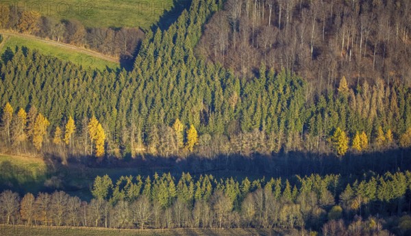 Aerial view, forest area forest dieback, Westernbödefeld, Schmallenberg, Sauerland, North Rhine-Westphalia, Germany, DE, Europe, autumn colours, aerial view, aerial photography, aerial photography, mixed forest, overview, bird's-eye view, forest, forest area, forest damage, forest dieback, birds-eyes view, overview