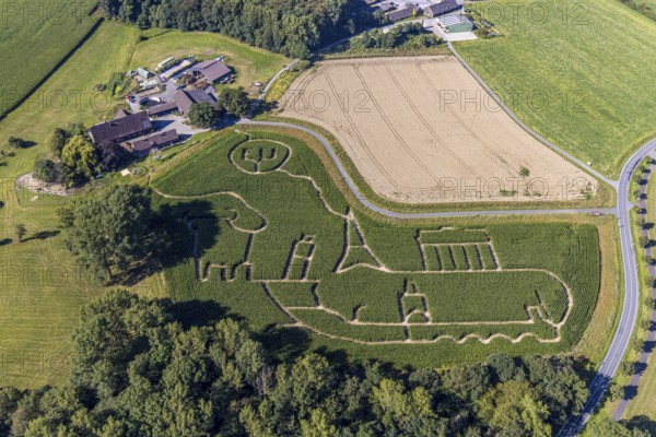 Aerial photo of Baür Lünemann's corn maze in Selm Cappenberg. This year's theme is Europe. Selm, Ruhr area, North Rhine-Westphalia, Germany, Selm, DE, Europe, aerial photo, birds-eyes view, aerial photography, aerial photography, overview, bird's-eye view