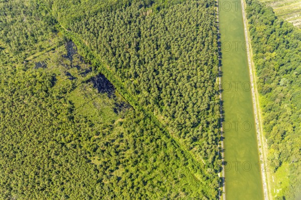 Aerial view, Venner Moor nature reserve, Dortmund-Ems canal, forest damage, Senden, Münsterland, North Rhine-Westphalia, Germany, DE, Europe, distant view, farmsteads, canal, LSG, landscape conservation area, aerial photograph, aerial photography, aerial photography, NSG, nature conservation, nature reserve, overview, environmental protection, bird's eye view, forest, forest area, meadows and fields, birds-eyes view, overview