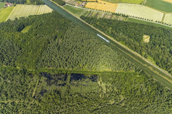 Aerial photograph, forest damage, Venner Moor nature reserve, ship on the Dortmund-Ems Canal, Senden, Münsterland, North Rhine-Westphalia, Germany, forestation, inland navigation, DE, Europe, goods transport, goods transport, cargo ships, logistics, aerial photograph, aerial photography, aerial photography, ship, shipping, shipping traffic, overview, bird's eye view, forest, forest area, forest dieback, forest area, bird's eye view, overview