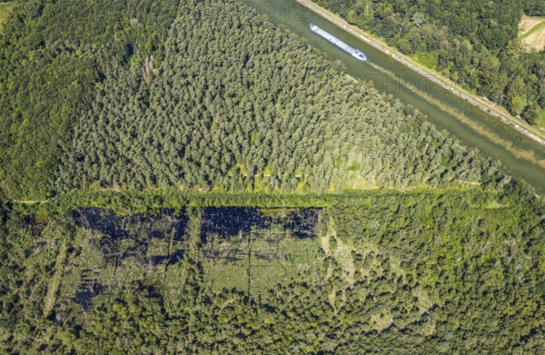 Aerial photograph, forest damage, Venner Moor nature reserve, ship on the Dortmund-Ems Canal, Senden, Münsterland, North Rhine-Westphalia, Germany, forestation, inland navigation, DE, Europe, goods transport, goods transport, cargo ships, logistics, aerial photograph, aerial photography, aerial photography, ship, shipping, shipping traffic, overview, bird's eye view, forest, forest area, forest dieback, forest area, bird's eye view, overview