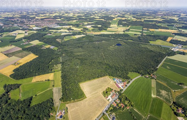 Aerial view, Venner Moor nature reserve, Dortmund-Ems canal, local view, Senden, Münsterland, North Rhine-Westphalia, Germany, DE, Europe, distant view, farmsteads, canal, LSG, landscape conservation area, agricultural fields, aerial view, aerial photography, aerial photography, NSG, nature reserve, nature conservation area, plots, lake, townscape, urban area, pond, overview, environmental protection, bird's eye view, forest area, meadows and fields, birds-eyes view, landw, overview