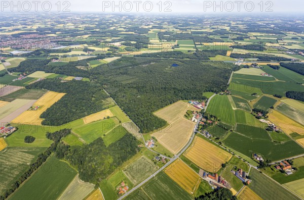 Aerial view, Venner Moor nature reserve, Dortmund-Ems canal, local view, Senden, Münsterland, North Rhine-Westphalia, Germany, DE, Europe, distant view, farmsteads, canal, LSG, landscape conservation area, agricultural fields, aerial view, aerial photography, aerial photography, NSG, nature reserve, nature conservation area, plots, lake, townscape, urban area, pond, overview, environmental protection, bird's eye view, forest area, meadows and fields, birds-eyes view, landw, overview