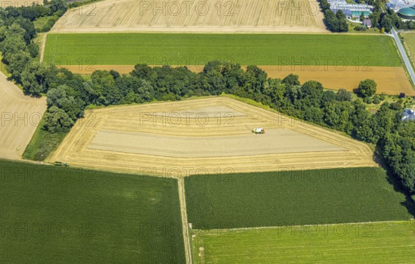Aerial photo, harvest, combine harvester, hedgerows, grain harvest, paradises, Soest, Soester Börde, North Rhine-Westphalia, Germany, DE, Europe, birds-eyes view, aerial view, aerial photography, aerial photography, overview, bird's eye view