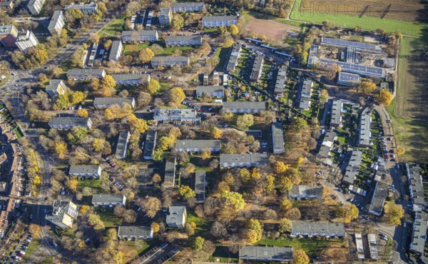 Aerial view, residential area Im Meerfeld, Nehrunger Weg, Rheinkamp-Mitte, Mörs, Ruhr area, North Rhine-Westphalia, Germany, education, educational institution, DE, Europe, Gemeinschaftsgrundschule Regenbogenschule, primary school, property tax, green trees, real estate, educational institute, aerial view, aerial photography, aerial photography, terraced houses, school, overview, bird's-eye view, residential complex, living and life, residential area, residential buildings, residential quality, residential neighbourhood, housing estate, birds-eyes view, overview