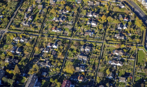 Aerial view, KGV Harmonie e.V., Herwarthstraße, Styrum, Mülheim an der Ruhr, Ruhr area, North Rhine-Westphalia, Germany, DE, Europe, community garden, KGV, allotment garden, allotment garden site, allotment garden association, aerial photograph, aerial photography, aerial photography, allotment garden, overview, bird's-eye view, birds-eyes view, overview