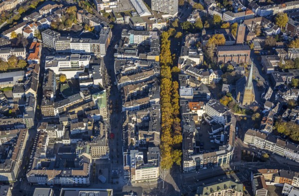 Aerial view, Dickswall, catholic church St. Mariae-Geburt, protestant church Petrikirche, Altstadt I, Mülheim an der Ruhr, Ruhr area, North Rhine-Westphalia, Germany, place of worship, tree avenue, DE, Europe, religious community, place of worship, holy site, autumn colours, church, church community, denomination, aerial view, aerial photography, aerial photography, religion, religious site, overview, bird's-eye view, wooded street, birds-eyes view, overview