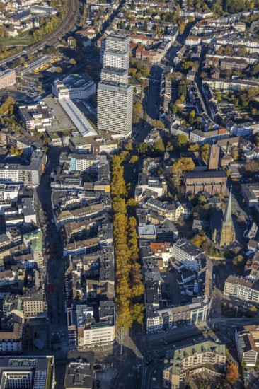 Aerial view, Dickswall skyscrapers, catholic church St. Mariae-Geburt, evang. Petrikirche, Altstadt I, Mülheim an der Ruhr, Ruhr area, North Rhine-Westphalia, Germany, place of worship, Baumallee, authority, DE, Europe, Forum Hochhaus, religious community, place of worship, holy place, autumn colours, church, parish, denomination, aerial view, aerial photography, aerial photography, cycle path, town hall, religion, religious site, castle bridge, city administration, registry office, technical town hall, overview, administrative area, bird's-eye view, wooded street, birds-eyes view, overview