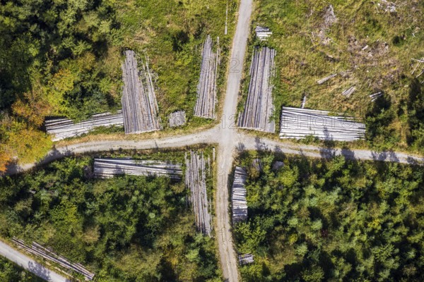 Aerial view, cleared forest areas, Waldemei, Menden, Sauerland, Märkischer Kreis, North Rhine-Westphalia, Germany, tree trunks, DE, Europe, shapes and colours, cross shape, crossing, aerial photograph, aerial photography, aerial photography, overview, bird's eye view, forest pieces, forest path, birds-eyes view, cleared trees, overview, timber camp, path crossing, path crossing, forest path crossing, forestry, symmetrical crossing, shapes, graphic