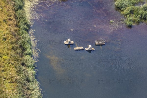 Aerial view, former sewage sludge landfill, concrete parts in pond, Menden, Sauerland, Märkischer Kreis, North Rhine-Westphalia, Germany, DE, landfill, Europe, aerial view, aerial photography, aerial photography, Obere Heidestraße, overview, bird's eye view, meadows and fields, birds-eyes view, overview