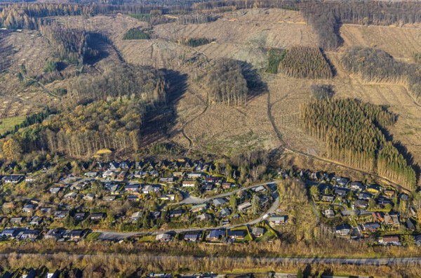Aerial view, forest damage, deforestation, holiday settlement, holiday homes, view of Frenkhausen, Meschede, Sauerland, North Rhine-Westphalia, Germany, DE, Europe, aerial view, aerial photography, aerial photography, overview, bird's eye view, forest, forest area, forest dieback, birds-eyes view, overview