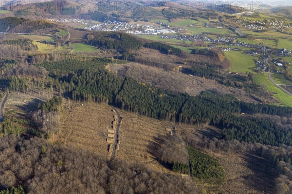 Aerial photo, forest damage, deforestation, Frenkhausen, Meschede, Sauerland, North Rhine-Westphalia, Germany, DE, Europe, aerial photo, aerial photography, aerial photography, overview, bird's-eye view, forest, forest area, forest dieback, birds-eyes view, overview