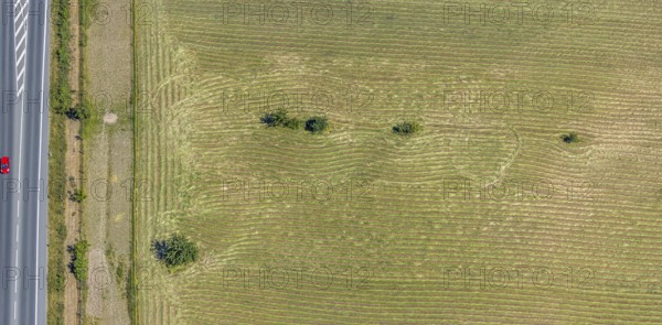 Aerial view, Mown field, Single trees, Mörs, Ruhr area, North Rhine-Westphalia, Germany, DE, Europe, birds-eyes, view, aerial photograph, aerial photography, aerial photography, overview, bird's eye view