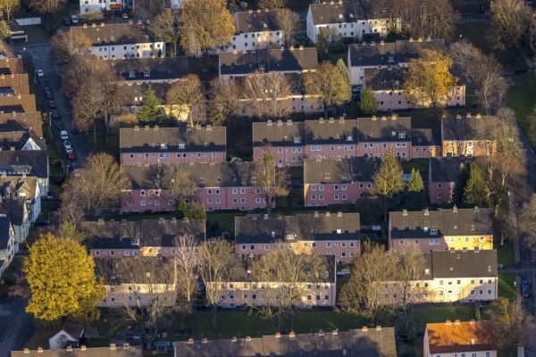 Aerial view, residential area Reichenbacher Weg, terraced houses with pink facade, Soest, Soester Börde, North Rhine-Westphalia, Germany, DE, Europe, property tax, autumn colours, real estate, Lippstädter Straße, aerial view, aerial photography, aerial photography, apartment buildings, terraced houses, Schlesische Straße, overview, bird's eye view, residential complex, living and living, residential area, residential buildings, quality of living, residential quarter, housing estate, birds-eyes view, overview, rental flat, apartment block, rent