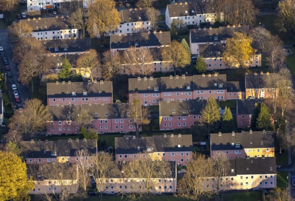 Aerial view, residential area Reichenbacher Weg, terraced houses with pink facade, Soest, Soester Börde, North Rhine-Westphalia, Germany, DE, Europe, property tax, autumn colours, real estate, Lippstädter Straße, aerial view, aerial photography, aerial photography, apartment buildings, terraced houses, Schlesische Straße, overview, bird's eye view, residential complex, living and living, residential area, residential buildings, quality of living, residential quarter, housing estate, birds-eyes view, overview, rental flat, apartment block, rent