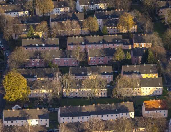 Aerial view, residential area Reichenbacher Weg, terraced houses with pink facade, Soest, Soester Börde, North Rhine-Westphalia, Germany, DE, Europe, property tax, autumn colours, real estate, Lippstädter Straße, aerial view, aerial photography, aerial photography, apartment buildings, terraced houses, Schlesische Straße, overview, bird's eye view, residential complex, living and living, residential area, residential buildings, quality of living, residential quarter, housing estate, birds-eyes view, overview, rental flat, apartment block, rent