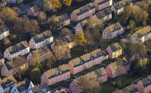 Aerial view, residential area Reichenbacher Weg, terraced houses with pink facade, Soest, Soester Börde, North Rhine-Westphalia, Germany, DE, Europe, property tax, autumn colours, real estate, Lippstädter Straße, aerial view, aerial photography, aerial photography, apartment buildings, terraced houses, Schlesische Straße, overview, bird's eye view, residential complex, living and living, residential area, residential buildings, quality of living, residential quarter, housing estate, birds-eyes view, overview, rental flat, apartment block, rent